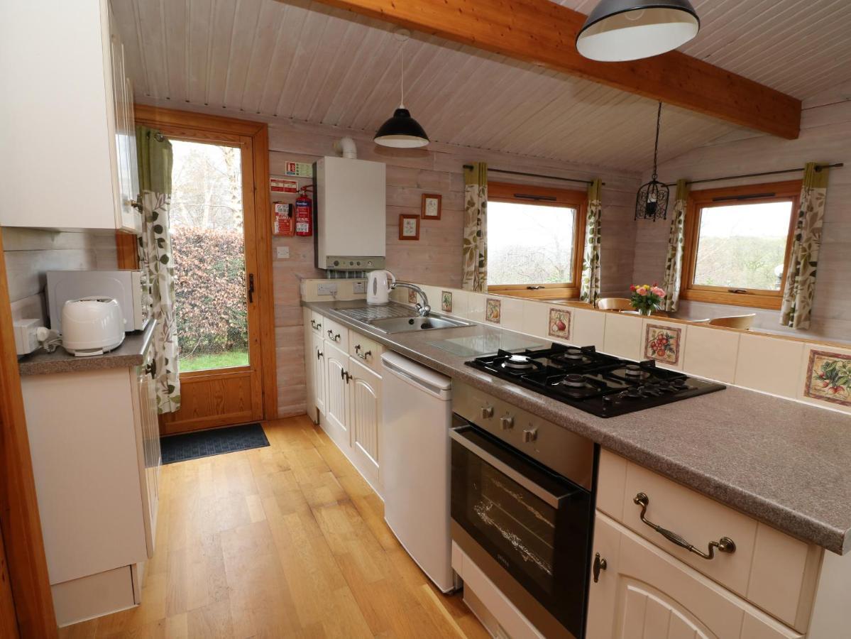 Barn Owl Lodge Rhayader Extérieur photo
